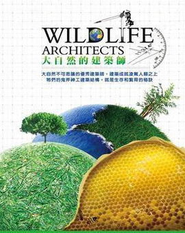 新浦京澳门棋牌平台